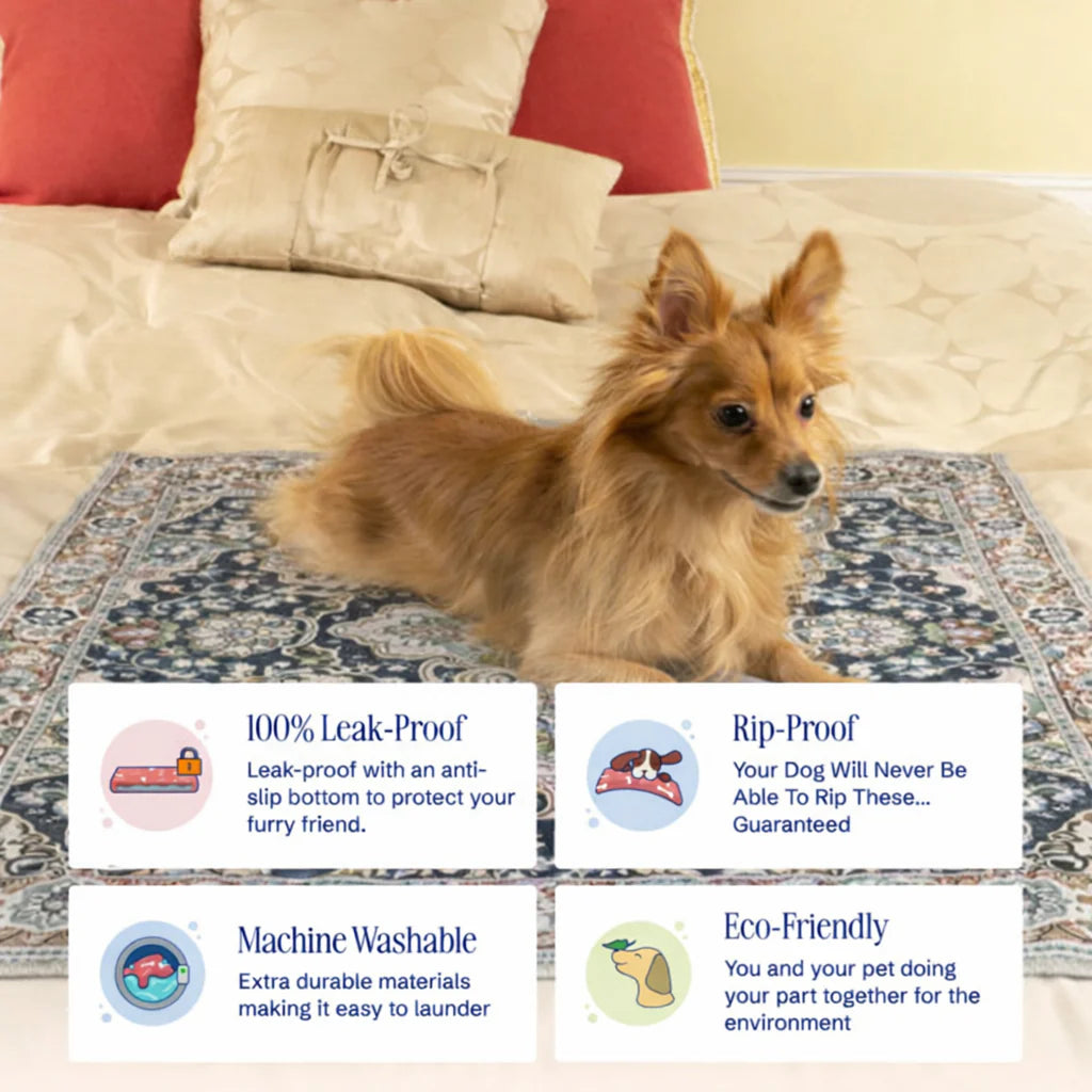 PetShield Pro™ – The Last Pee Pad You’ll Ever Buy