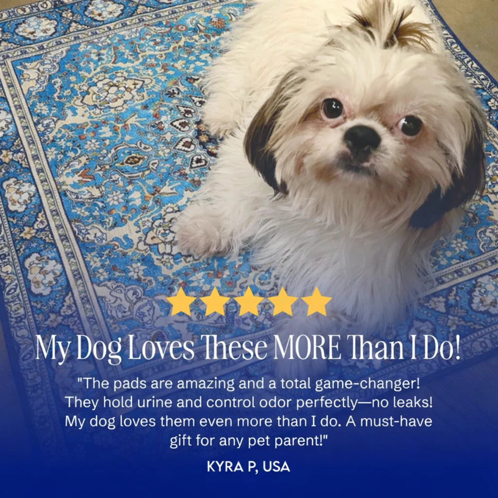 PetShield Pro™ – The Last Pee Pad You’ll Ever Buy